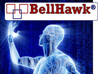 BellHawk Product Image